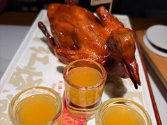 -大鸽饭(动物园店)