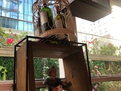 -胡桃里音乐酒馆(罗湖HALO广场店)