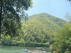 -紫藤园·天目湖大鱼头(南山竹海店)