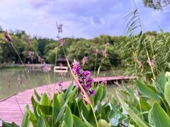 -沙家浜风景区