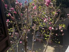 -苏州文旅花间堂·探花府酒店