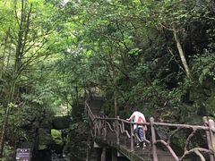 -藏龙百瀑风景区