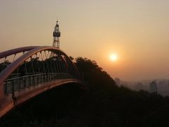 -金鸡山公园