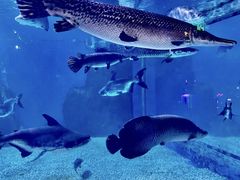 -多彩贵州城极地海洋世界