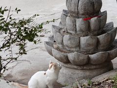 -西安大兴善寺