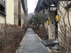 -金石唐风国际温泉会馆