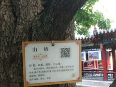 -碑林公园