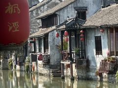 -枫泾丁氏烧卖(枫丽路店)