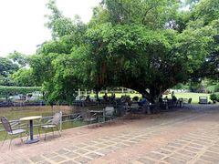 -侯臣咖啡文化村