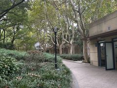 -徐家汇源景区-衡山公园