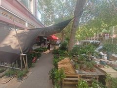 -宝鸡东道花鸟鱼虫市场(吉利花园商场店)