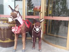 -乔家小院•本地小海鲜•非遗驴肉(万年泉路店)