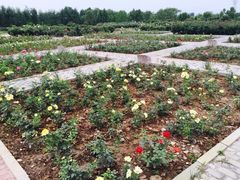 石家庄植物园-石家庄市植物园