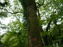 -普陀山风景名胜区-法雨禅寺