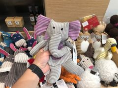 -電力宠物公司(武定路店)