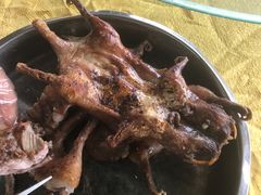 -阿鸟农庄(石壁店)