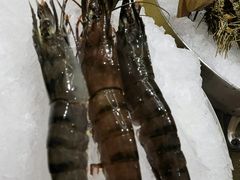 -半岛翡丽海鲜自助餐厅(观风亭店)