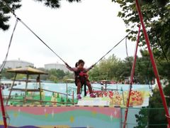 -西霞口神雕山野生动物世界