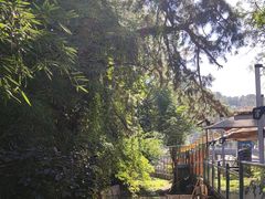 -丽泽山庄·生态怀柔菜·虹鳟鱼(红螺寺店)