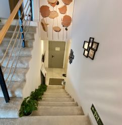 -酉嘉瑜伽YO+YOGA