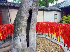 -蓬莱阁景区