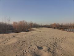 -东郊湿地公园