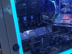 -快乐街区(成都龙湖北城天街店)