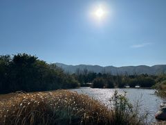 -西昌邛海湿地