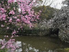 -无锡梅园公园