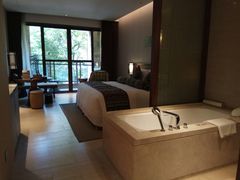 -西双版纳融创皇冠假日度假酒店