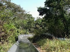 -富斯特索道
