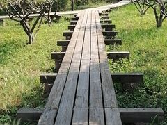 -天禄堂西溪庄园