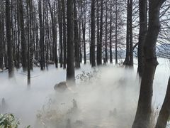-东湖落雁景区