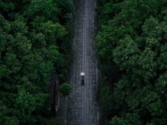 -灵谷景区