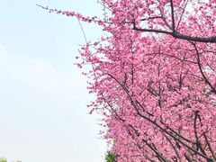-白塘生态植物园