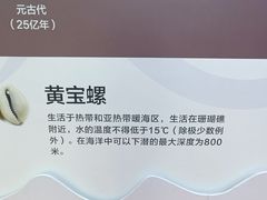 -贝壳王国博物馆