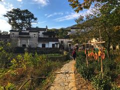 -塔川景区
