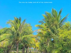 -亚龙湾国际玫瑰谷