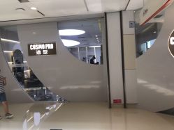 -COSMO PRO造型