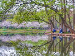 -上海共青森林公园