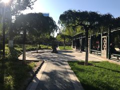-西海子公园