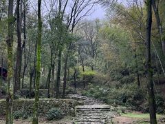 -仙霞关景区
