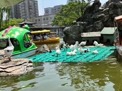 -团结湖公园