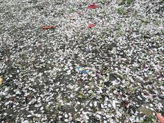 -白塘生态植物园