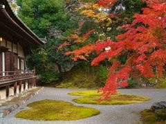 -醍醐寺