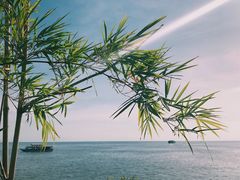 -洞里萨湖