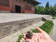 -善化寺