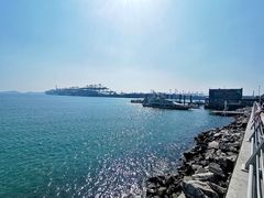 -新金盛·海鲜酒楼(盐田店)