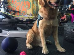 -RoMan罗马健身工作室(莘庄店)