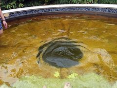 -苏州湾王焰温泉度假酒店